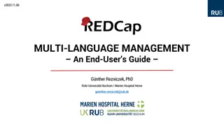 Understanding Multi-Language Management in Data Entry Interfaces
