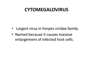 Understanding Cytomegalovirus: Clinical Manifestations and Complications