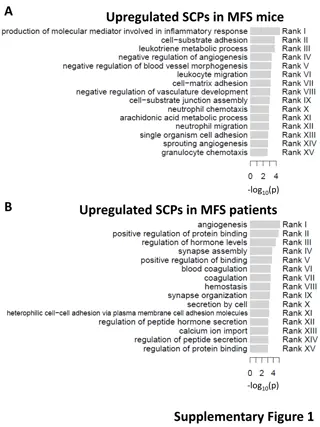Exploring Differential Gene Expression Patterns in Musculoskeletal Disorders
