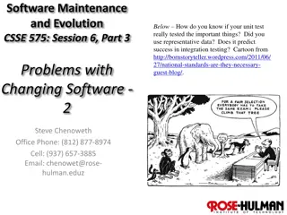 Testing Strategies for Software Maintenance and Evolution Challenges
