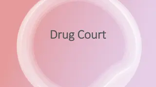 Drug Court Program Eligibility Criteria and Catchment Areas