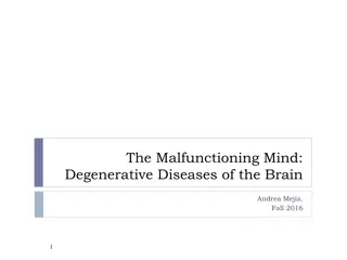 Understanding Degenerative Dementia: Causes and Effects