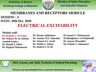 ELECTRICAL EXCITABILITY