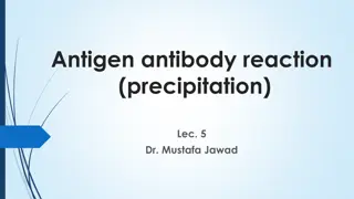 Understanding Antigen-Antibody Precipitation Reaction