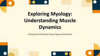 Myology: Unraveling Muscle Tissue Types and Functions