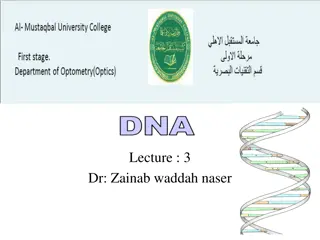 Understanding DNA Structure and Function | Lecture Insights