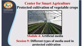 Smart Agriculture: Using Different Types of Media for Protected Cultivation