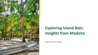 Island Bats: Insights from Madeira - Impact of Land-Use Change