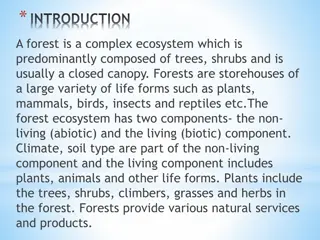 Exploring Diverse Forest Ecosystems: Evergreen, Mangrove, Deciduous