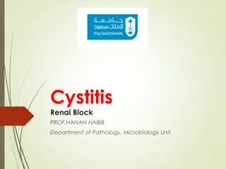Understanding Cystitis: Causes, Symptoms, and Treatment Options