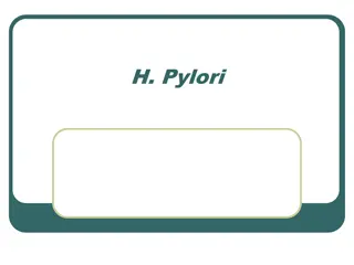 Insights into H. Pylori: Prevalence, Factors, and Detection
