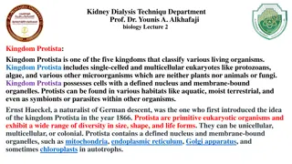 Exploring the Fascinating Kingdom Protista and its Diversity
