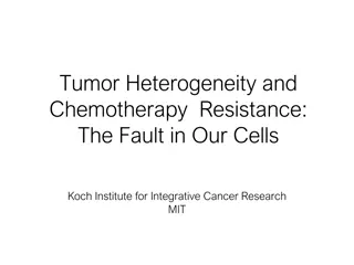 Tumor Heterogeneity and Chemotherapy Resistance