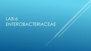 Understanding Enterobacteriaceae Bacteria Family