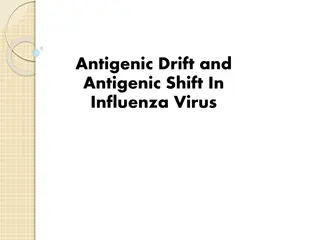 Understanding Antigenic Drift and Shift in Influenza Virus