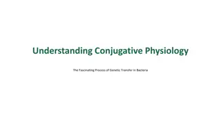 Conjugative Physiology: Understanding Genetic Transfer in Bacteria