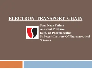 Understanding the Electron Transport Chain in Cellular Metabolism