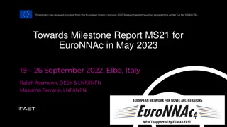 Milestone Report MS21 Preparation Guidelines and Deadlines