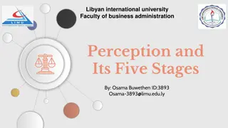 Understanding Perception: Stages and Process Explained