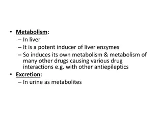 Understanding Antiepileptic Drugs and Their Mechanisms