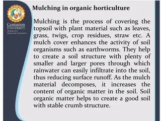 Enhancing Organic Horticulture Through Mulching Techniques