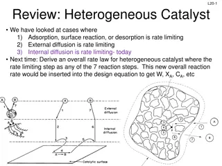 Heterogeneous Catalyst Reaction Rates Overview