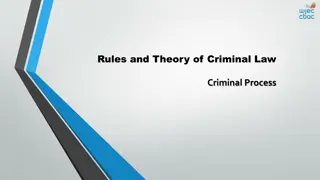 Understanding the Criminal Justice System and Court Procedures