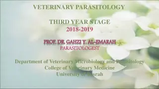 Understanding the Pathogenesis of Haemonchus Contortus in Veterinary Parasitology