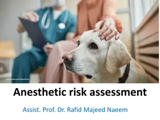 Anesthetic Risk Assessment and Perioperative Patient Evaluation