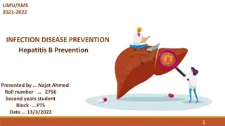 Hepatitis B Prevention Overview and Guidelines