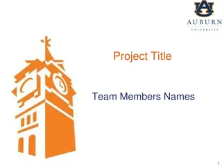 Innovative Project Team and Methodology Time Update