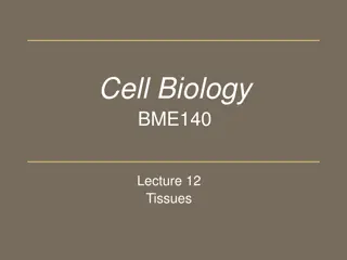 Understanding Tissues in Living Organisms