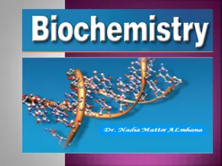 Understanding the Diverse Roles and Applications of Lipids