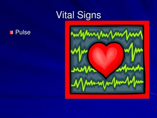 Understanding Pulse: A Comprehensive Guide
