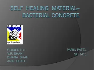 Understanding Bacterial Concrete and Self-Healing Materials