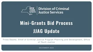 Mini-Grants Bid Process and Timeline for 2024 Initiatives