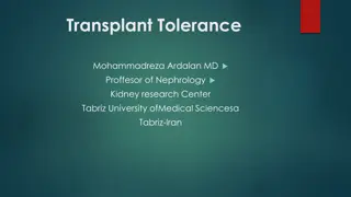 Progress in Achieving Transplant Tolerance: Insights from Kidney Transplant Research
