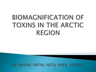 Understanding Biomagnification: Impact on Arctic Ecosystem