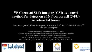 19F Chemical Shift Imaging for 5-Fluorouracil Detection in Colorectal Tumor