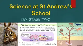 Exciting KS2 Science Units on Animals, Rocks, Forces, Light, Plants, and Scientists