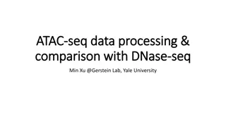 ATAC-Seq Data Processing & Comparison with DNase-Seq