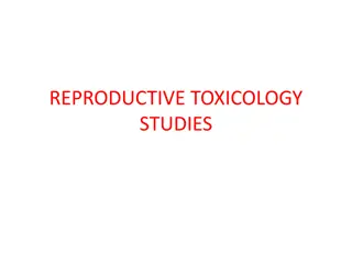 Reproductive Toxicology Studies Overview