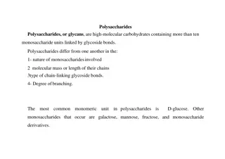Understanding Polysaccharides: Types, Structures, and Properties