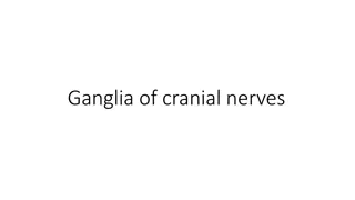 Understanding Cranial Nerves and Ganglia Functions