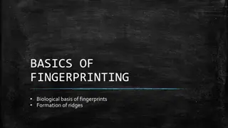Basics of Fingerprinting: Biological Basis and Formation of Ridges
