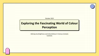 Delving into Colour Perception: Brightness, Colourfulness & More