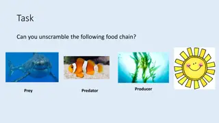 Unscrambling Food Chains: Understanding the Impact on Ecosystems