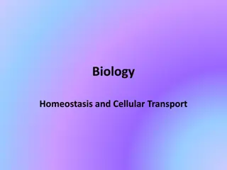 Understanding Cellular Transport and Homeostasis in Biology