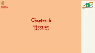 Understanding Plant and Animal Tissues: A Comparative Overview