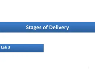 Stages of Delivery Process and Fetal Descent